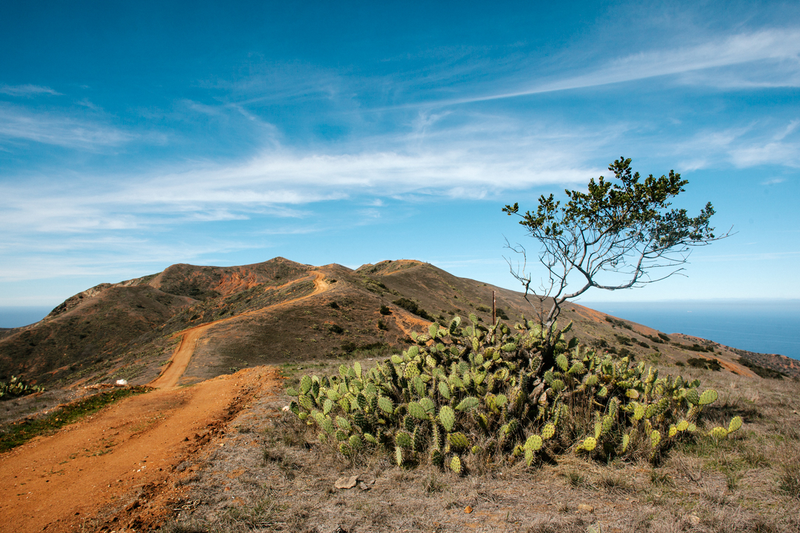 Illustration for article titled Adventure: Trans-Catalina Island Trail